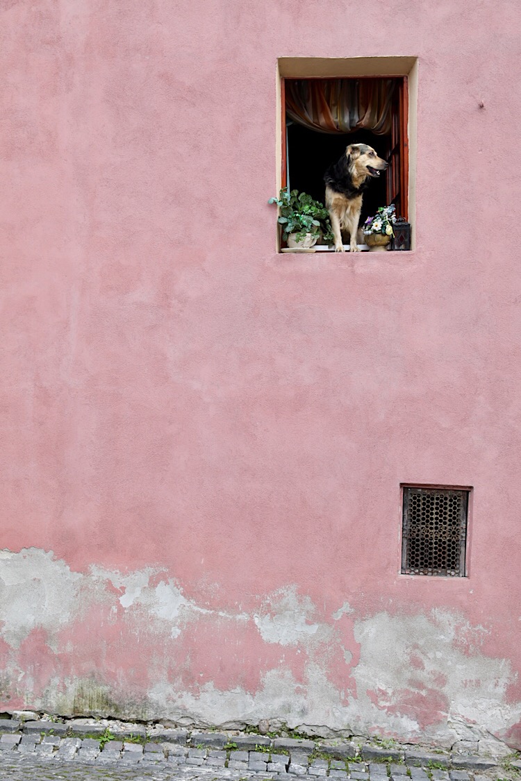 Sighişoara, Romania