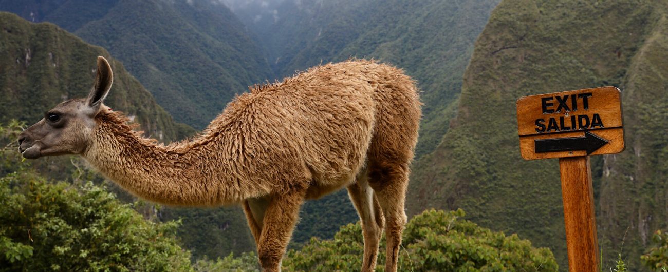 Machu Picchu