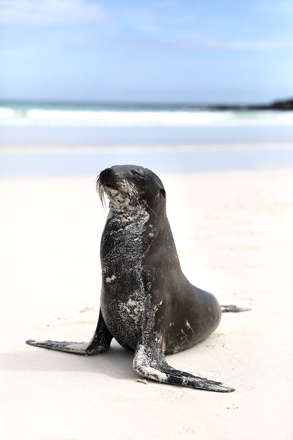 Tortuga Bay, Santa Cruz, Galapagos